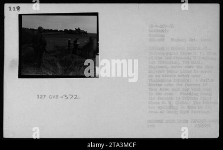 Il 22 settembre 1966, la Private First Class C.M. Box pattugliò un campo di riso a Charu me, provincia di Quang Ngai durante l'operazione Ouden Fless-66, garantendo la sicurezza degli agricoltori vietnamiti e controllando l'attività nemica. Foto Stock