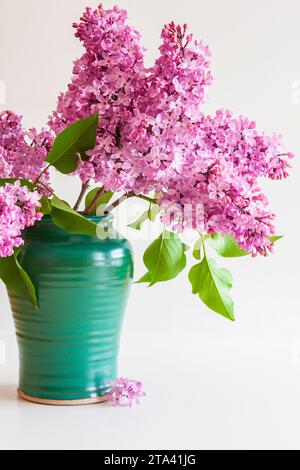 Un vaso verde pieno di splendidi rami lilla fioriti (Syylan vulgaris) su sfondo bianco. Foto Stock