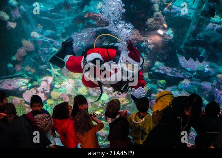 Vancouver, Canada. 28 novembre 2023. Un subacqueo vestito da Babbo Natale onda i visitatori all'acquario di Vancouver, British Columbia, Canada, il 28 novembre 2023. Crediti: Liang Sen/Xinhua/Alamy Live News Foto Stock