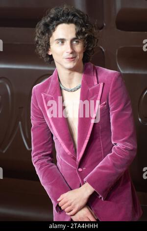 Londra, Regno Unito. 28 novembre 2023. Nella foto: Il Timothee Chalamet partecipa alla prima mondiale di "Wonka" alla Royal Festival Hall di Southbank. Credito: Justin ng/Alamy Live News Foto Stock