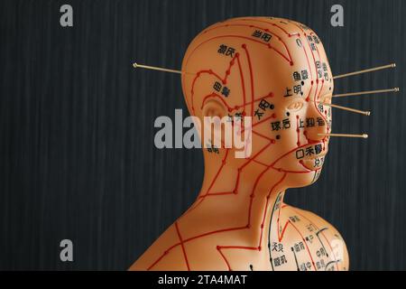 Agopuntura - medicina alternativa. Modello umano con aghi in testa su sfondo nero, spazio per il testo Foto Stock