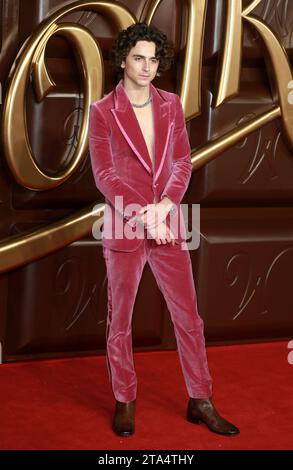 Londra, Regno Unito. 28 novembre 2023. Timothee Chalamet partecipa alla prima mondiale "Wonka" alla Royal Festival Hall di Londra. Credito: SOPA Images Limited/Alamy Live News Foto Stock