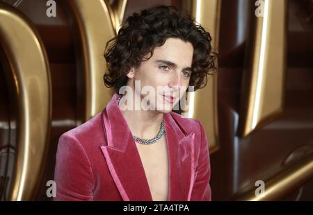 Londra, Regno Unito. 28 novembre 2023. Timothee Chalamet partecipa alla prima mondiale "Wonka" alla Royal Festival Hall di Londra. (Foto di Fred Duval/SOPA Images/Sipa USA) credito: SIPA USA/Alamy Live News Foto Stock