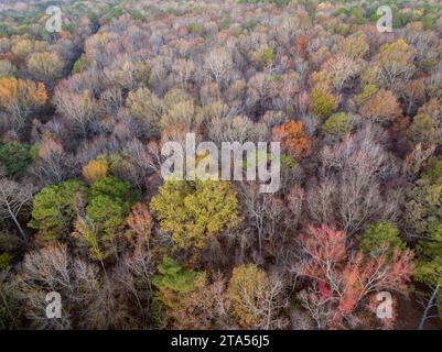 A fine novembre veduta aerea di una foresta sulle rive del fiume Tennessee vicino al Colbert Ferry Park, Natchez Trace Parkway Foto Stock