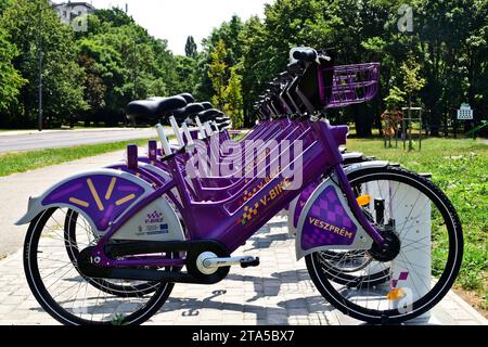 Biciclette a noleggio elettriche in scaffali a Veszprem, Ungheria. prospettiva in diminuzione. trasporto moderno e privo di inquinamento. alberi verdi Foto Stock