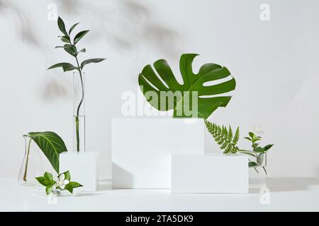 Podi bianchi a forma di cubo e rettangolare disposti con molti tipi di foglie. Vetrina per la scena del concept per il nuovo prodotto, promozione, cosmetici Foto Stock