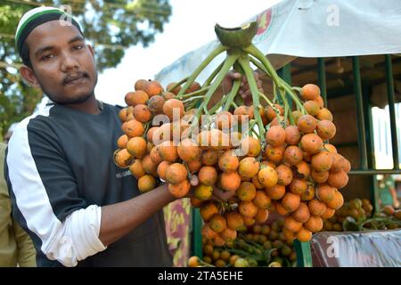 Cox's Bazar. 29 novembre 2023. Un contadino mostra noci di betel appena raccolte in un mercato a Cox's Bazar, Bangladesh, il 25 novembre 2023. La raccolta di betel nut, uno dei principali raccolti da contante, sta ora procedendo in pieno svolgimento nel distretto. I mercati in alcune parti del distretto sono ora pieni di compratori e venditori di noci di betel appena raccolte. Crediti: Xinhua/Alamy Live News Foto Stock