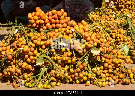 Cox's Bazar. 29 novembre 2023. Questa foto scattata il 26 novembre 2023 mostra le noci di betel in un mercato a Cox's Bazar, Bangladesh. La raccolta di betel nut, uno dei principali raccolti da contante, sta ora procedendo in pieno svolgimento nel distretto. I mercati in alcune parti del distretto sono ora pieni di compratori e venditori di noci di betel appena raccolte. Crediti: Xinhua/Alamy Live News Foto Stock