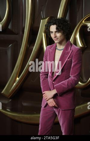 Londra, Regno Unito. Fotografato partecipando alla prima mondiale di Wonka alla Royal Festival Hall il 28 novembre 2023 . Foto di Julie Edwards. Crediti: JEP Celebrity Photos/Alamy Live News Foto Stock