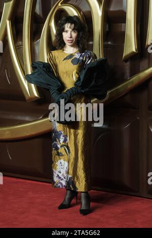 Londra, Regno Unito. Sally Hawkins ha fotografato partecipando alla prima mondiale di Wonka alla Royal Festival Hall il 28 novembre 2023. Foto di Julie Edwards. Crediti: JEP Celebrity Photos/Alamy Live News Foto Stock