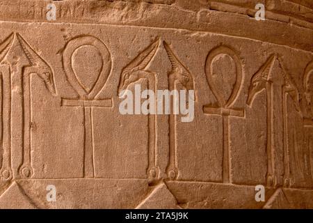 I geroglifici egiziani scolpiti nella pietra sulle pareti del tempio di Edfu in Egitto. Foto Stock