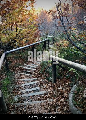 Bieszczady Mountains, scale sul sentiero che scende. Foto Stock