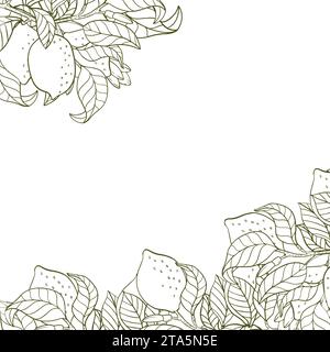 Un bordo di ramoscelli di limone e limoni. Una composizione di agrumi in stile grafico. Illustrazione vettoriale isolata su sfondo bianco Illustrazione Vettoriale