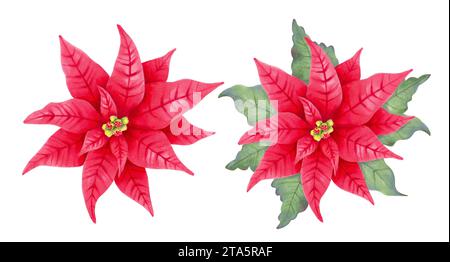 Stella di Natale poinsettia fiore con e senza foglie.Fiore Clipart. Decorazioni natalizie per Natale e Capodanno. Marcatore nell'acquerello Foto Stock