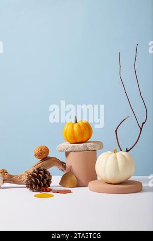 Su uno sfondo blu pastello, le piccole zucche sono poste su una piattaforma marrone, decorate con ramoscelli secchi, foglie secche e noci. Fotografia in un minimo di tempo Foto Stock