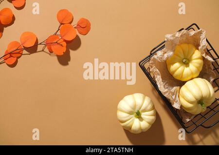 Composizione autunnale piatta con spazio per la copia, mini zucche sul cestino posteriore e foglie d'arancia secche decorate su sfondo marrone. Spazio vuoto per def Foto Stock