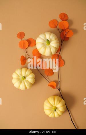 Mini zucche decorate con un ramo secco con bellissime foglie d'arancio su sfondo marrone. Decorare il paesaggio autunnale. Cornice verticale per social network Foto Stock