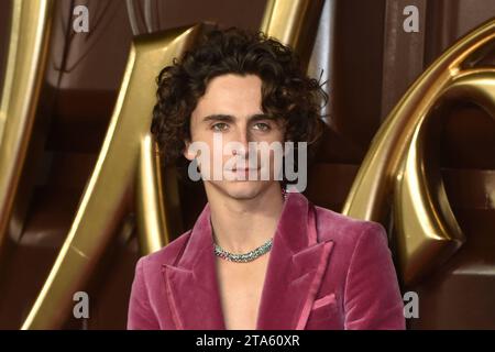 Londra, Inghilterra. REGNO UNITO. Martedì 28 novembre 2023 - Timothee Chalamet partecipa a Wonka - prima mondiale alla Royal Festival Hall di Londra, Inghilterra. REGNO UNITO. Martedì 28 novembre 2023 - BANG MEDIA INTERNATIONAL FAMOUS PICTURES 28 HOLMES ROAD LONDON NW5 3AB REGNO UNITO tel 44 0 02 7485 1005 email: picturesfamous.uk.com Copyright: XJamesxWarrenx FP Wonka World Premiere 006 Credit: Imago/Alamy Live News Foto Stock