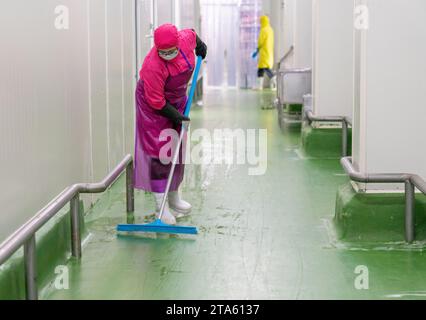 Servizi di pulizia e cura dei pavimenti con lavavetrini in un'azienda avicola. Foto Stock