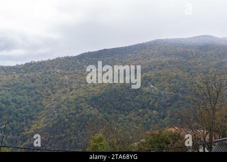 Colline coperte di alberi e nuvole nelle vicinanze Foto Stock