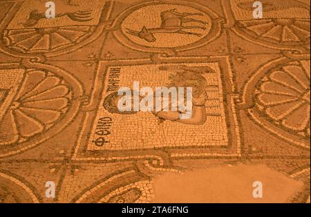 Mosaici della chiesa bizantina di Petra (6th secolo), patrimonio mondiale dell'UNESCO. Governatorato di ma'an, Giordania. Foto Stock