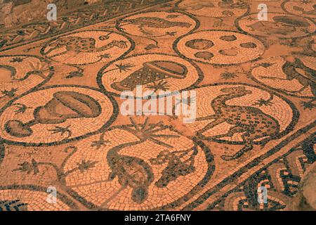 Mosaici della chiesa bizantina di Petra (6th secolo), patrimonio mondiale dell'UNESCO. Governatorato di ma'an, Giordania. Foto Stock