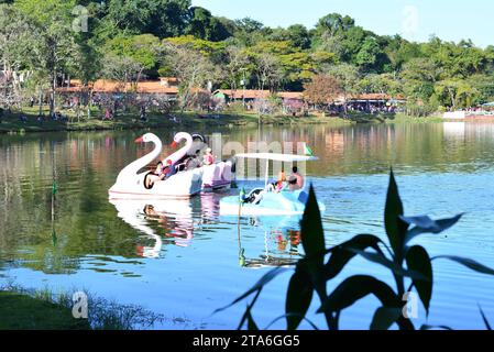 Pagaia o canottaggio sul lago in Lago con ruota panoramica sullo sfondo con bandiere brasiliane, panoramica, fuoco selettivo Foto Stock