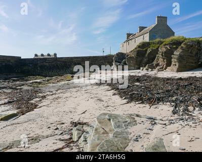 Fresgoe Harbour by Sandside Bay vicino al villaggio di Reay a Caithness, Scozia settentrionale Foto Stock