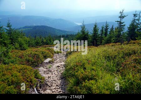 Moravian-Slesian Beskydy,Moravskoslezsky kraj,Repubblica Ceca Foto Stock