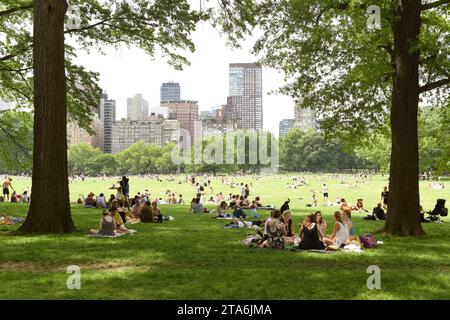 New York, USA - 26 maggio 2018: Le persone si rilassano a Sheep Meadow a Central Park e i grattacieli di Manhattan sullo sfondo. Foto Stock