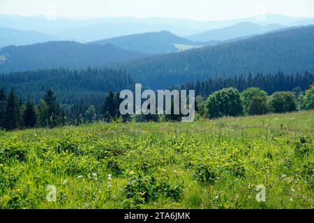 Moravian-Slesian Beskydy,Moravskoslezsky kraj,Repubblica Ceca Foto Stock