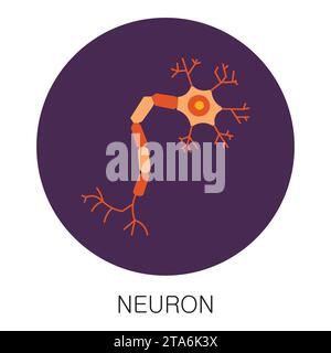 Icona al neurone in stile piatto isolata su sfondo bianco. Anatomia umana vettore di organi medici Illustrazione Vettoriale