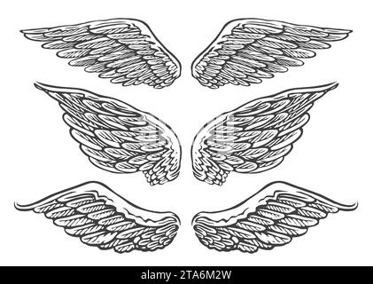 Set di coppie disegnate a mano di ali di angelo o uccello di forme diverse in posizione aperta. Illustrazione vettoriale vintage Illustrazione Vettoriale