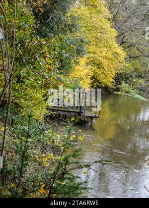 Palliativo paesaggio ripariano lungo il fiume Wey a Wisley che mostra colori autunnali. Alta risoluzione, Foto Stock