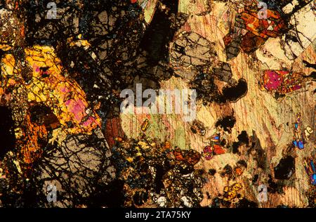 Anfibolite con granato. L'anfibolite è una roccia metamorfica ricca di anfibole. Fotomicrografo, sezione sottile, luce polarizzata. Foto Stock