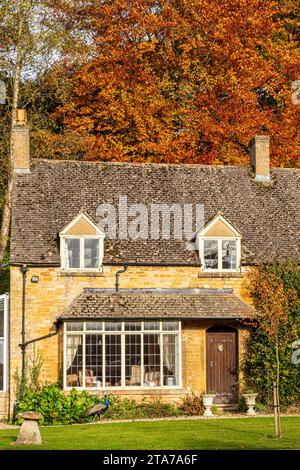 Colori autunnali e pavone sul prato di fronte ai cottage della Donnington Brewery, vicino al villaggio Cotswold di Donnington, Gloucestershire, Inghilterra Foto Stock