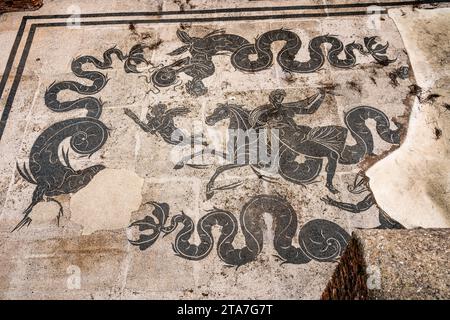 Parte delle rovine romane del porto di Ostia, mosaici. Italia Foto Stock