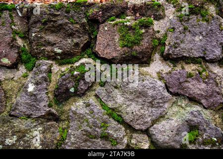 Effetto testurizzato di un muro di pietra irregolare con muschio nelle fessure, Monte Amiata, Toscana, Italia Foto Stock