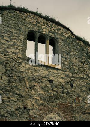 Norman Castle, Wallingford Castle Ruins, Wallingford, Oxfordshire, Inghilterra, REGNO UNITO, REGNO UNITO. Foto Stock