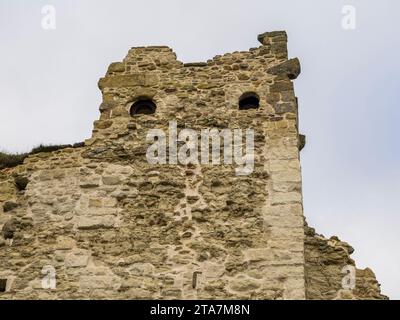 Norman Castle, Wallingford Castle Ruins, Wallingford, Oxfordshire, Inghilterra, REGNO UNITO, REGNO UNITO. Foto Stock