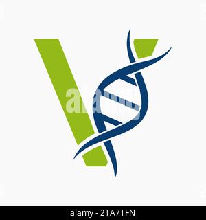 Logo DNA sulla lettera V, logotipo di genetica, simbolo di medicina Illustrazione Vettoriale