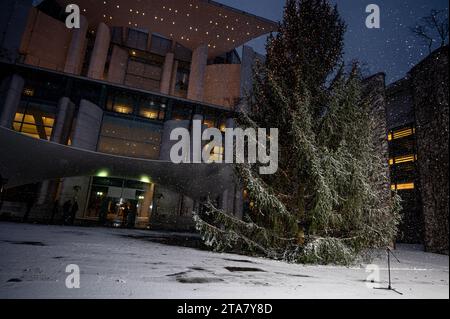 Berlino, Germania. 29 novembre 2023. L'albero di Natale si trova nel cortile della Cancelleria Federale durante la consegna. Credito: Fabian Sommer/dpa/Alamy Live News Foto Stock