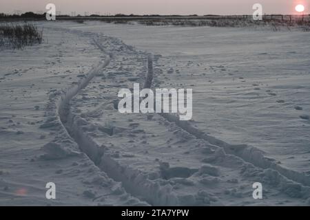 Fantastico paesaggio invernale. Erba congelata nella neve. Natura invernale ai raggi del tramonto. Foto Stock
