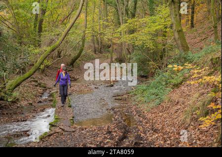 Coppia che attraversa Nant Iago e i boschi nei colori autunnali, St Mary's vale, Powys, Galles, Regno Unito Foto Stock