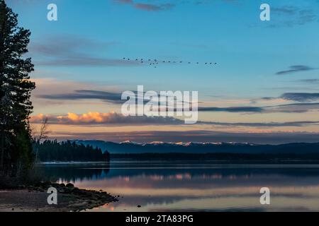 L'alba di Earlyl al mattino illumina le nuvole sul lago Payette mentre un gregge di oche vola nel Ponderosa State Park vicino a McCall, Idaho. Foto Stock