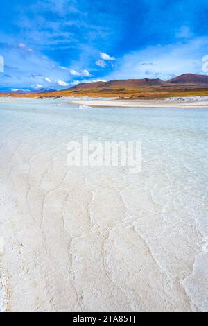 Laguna Tuyajto e Salt Lake nel Altiplano (alto altopiano andino) oltre i 4000 metri sopra il livello del mare con crosta di sale in riva, los Flamencos Na Foto Stock