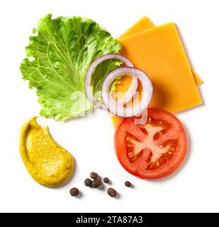 vari ingredienti colorati per preparare gli hamburger isolati su sfondo bianco, vista dall'alto Foto Stock