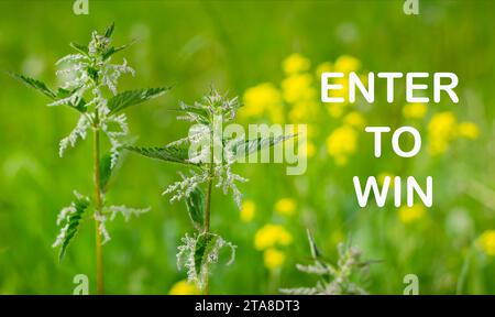 Partecipa per vincere, testo scritto su uno splendido sfondo estivo Foto Stock