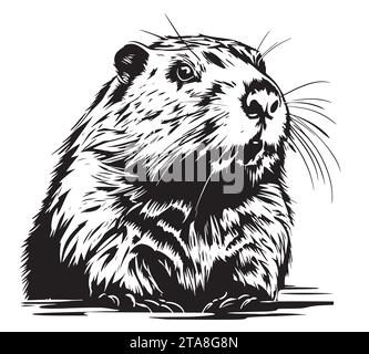 Beaver rodent mammifero. Imitazione di gratta e vinci. Immagine disegnata a mano in bianco e nero. Illustrazione del vettore di incisione Illustrazione Vettoriale