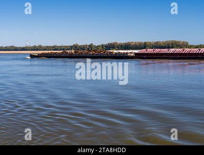 Grande rimorchiatore che spinge file di chiatte con rottami di metallo e prodotti di grano lungo il fiume Mississippi a sud del Cairo in Illinois Foto Stock